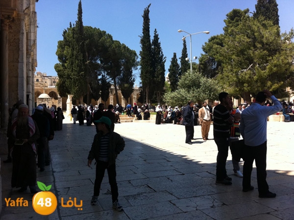 yaffa aqsa 0414 (41).JPG